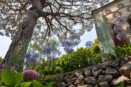 Green garden in Villa Rufolo in Ravello on the Amalfi coastの写真素材