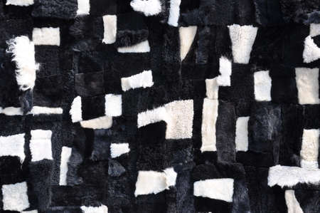 Black and white fur for background usageの写真素材