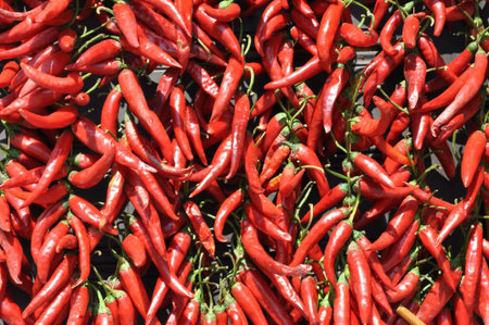 Red hot chilli peppers on market
