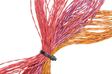 Multicolored computer cable with cable ties isolated on white background
