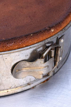 Close up of metal springform cake with freshの写真素材