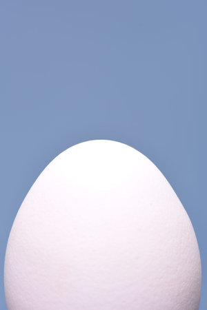 White hen egg on blue background closeupの写真素材