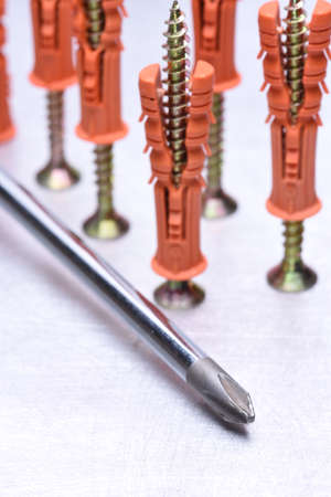 Screwdriver and dowels on metal backgroundの写真素材