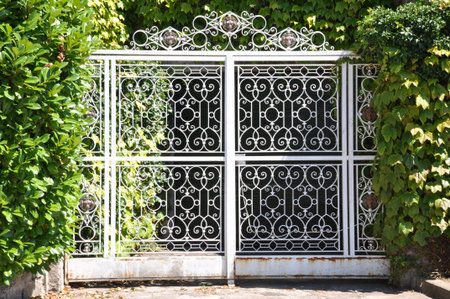 Steel gate and green plant