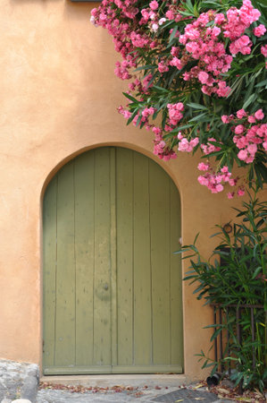 House with wooden door and flowering creeper on the wall