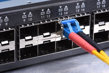 Internet Technology Devices Fiber Optic Patch Cord Cable in Switch