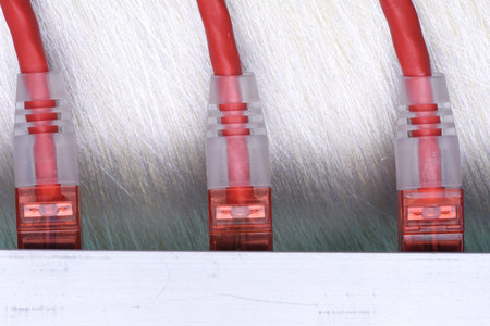 Close up of network cables
