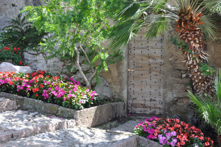 Wooden door stone path with green bushes and flowersの写真素材