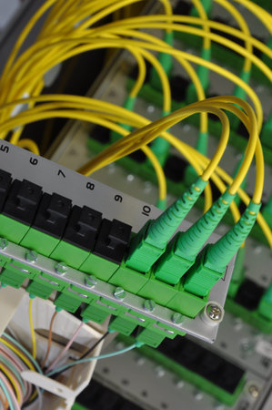 Fiber optic splice cassettes in passive optical networks