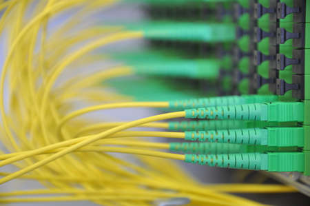 Fiber Optical Network Panel with Patchcordsの写真素材