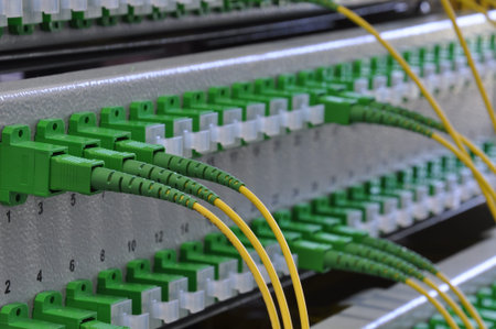 Optical distribution panels with optical fiber at passive optical network