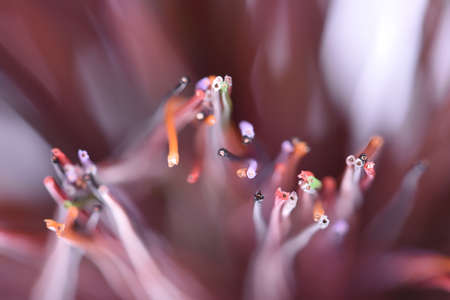 Electrical cables with focus closeupの写真素材