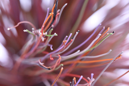Electrical cables with focus closeup