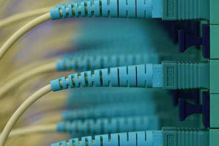 Optical distribution panels with optical fiber at passive optical network