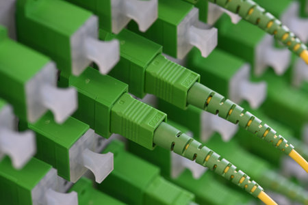 Optical distribution panels with optical fiber at passive optical network