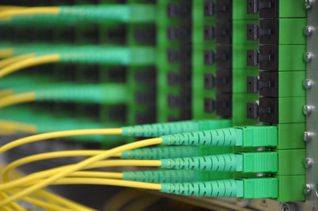 Optical distribution panels with optical fiber at passive optical network