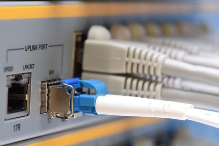 Optical fiber patch cord and network cables to switch in datacenter, closeup