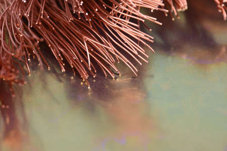 Closeup of Copper Wire on Metal Surface with Reflectionの写真素材