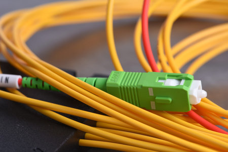 Fiber optic path cord with SC connector