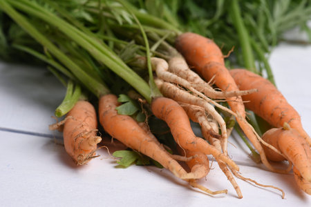 Healthy food fresh vegetable on wooden backgroundの写真素材