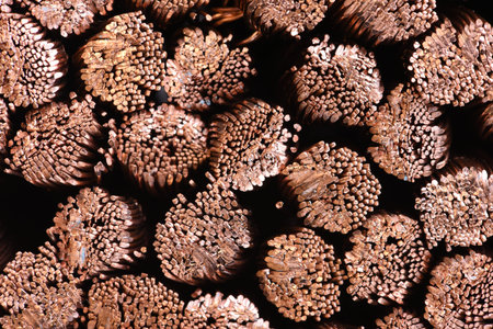 Copper wire, industry of raw materials