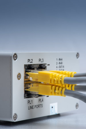 Network cables patch cord connected to switch in datacenter, closeup