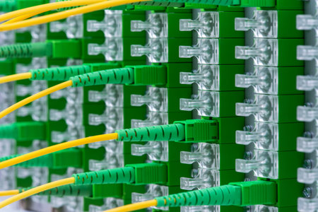 Optic Fiber Distribution Patch Panel with Connected Optical Cable, Telecom and IT Hardware Solutions
