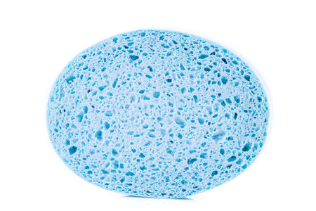 Cellulose foam sponge on white background