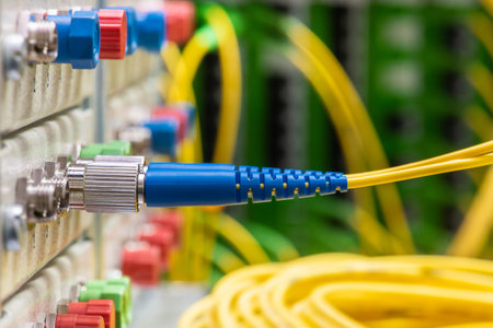 Fiber Optical Network Patch Cables Connected to Distribution Panel in Communication Data Center