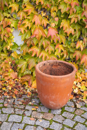 Empty flower pot in automn garden