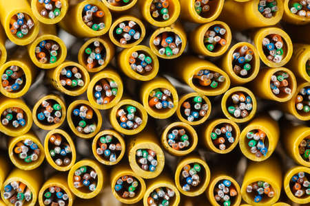 Network computer cable group of electrical cordの写真素材