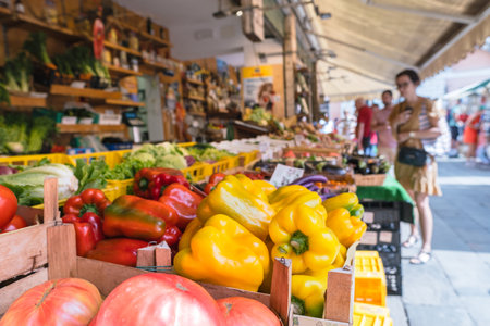 Vegetables and fruits on the counter of the farmers market.の写真素材