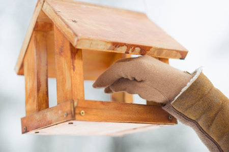 Closeup on hand hanging bird feeder on tree in winter parkの写真素材