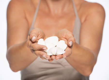 Closeup on seashells in hand of womanの写真素材