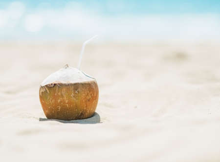 Closeup on coconut laying on beachの写真素材