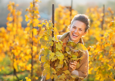 Portrait of happy young woman in autumn vineyard looking out from branchの写真素材