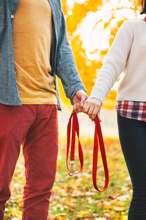 Closeup on young couple holding leash together in autumn parkの写真素材