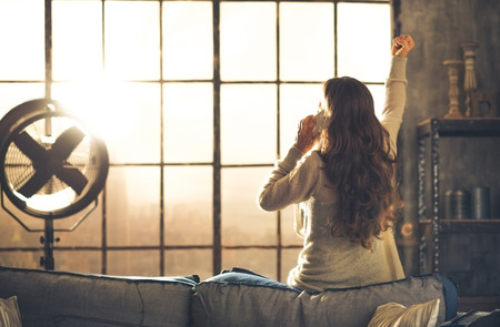 Seen from behind,a brunette woman is cheering, one arm raised, while talking on the phone. Industrial chic ambiance and cozy atmosphere, sunlight is streaming through the loft window.の写真素材