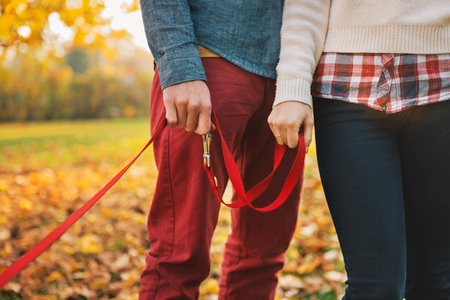 Close up on two hands of romantic couple holding dogs lead outside in autumn dayの写真素材