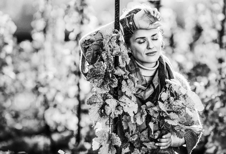 Portrait of relaxed young brown-haired woman winegrower standing in vineyard outdoors in autumn. Small business conceptの写真素材