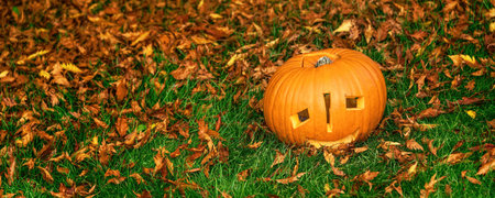 Trick or Treat. Closeup on pumpkin Jack OLantern on grass in the park Halloweenの写真素材