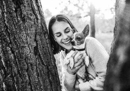 Portrait of young happy woman holding little cute dog in yellow autumn parkの写真素材