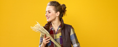 Healthy food to your table. Portrait of happy young woman farmer in checkered shirt on yellow background enjoying wheat spikeletsの写真素材