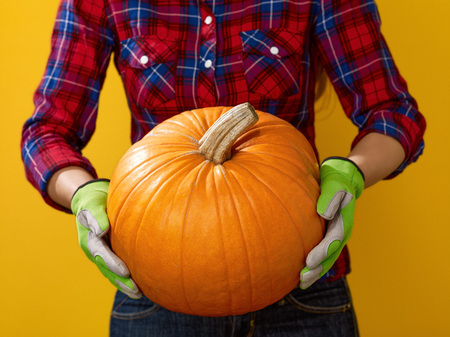 Healthy food to your table. Closeup on young woman farmer in checkered shirt on yellow background showing a pumpkinの写真素材
