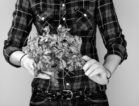 Healthy food to your table. Closeup on young woman farmer in checkered shirt isolated on yellow background showing fresh parsleyの写真素材
