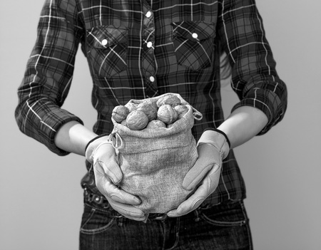 Healthy food to your table. Closeup on modern woman farmer in checkered shirt on yellow background showing walnutの写真素材
