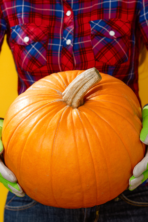 Healthy food to your table. Closeup on young woman farmer in checkered shirt on yellow background showing a pumpkinの写真素材