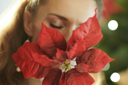 stylish housewife with red poinsettia near Christmas treeの写真素材