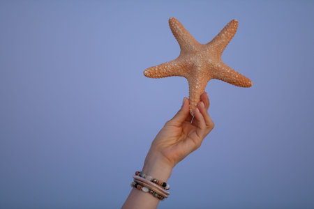 Closeup on starfish against sky at sunset