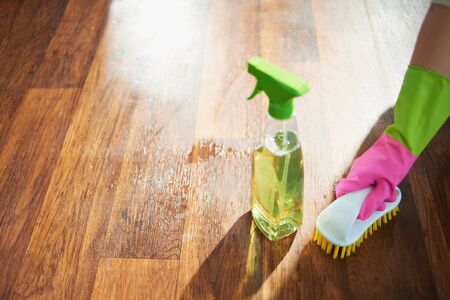 Closeup on woman in green apron and pink rubber gloves with spray bottle of cleaning supplies and brush spot cleaning floor in the house in sunny day.の写真素材